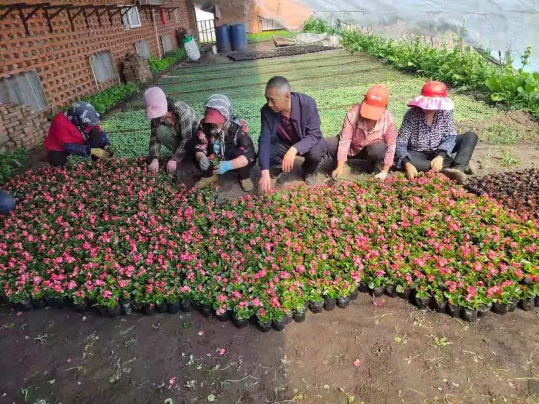 靠山种植致富项目_大山种出致富草_靠山养殖什么比较好