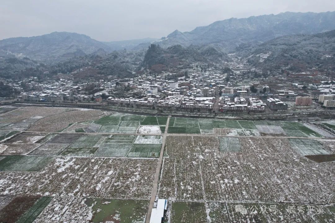 农村靠山怎么致富_靠山种植致富项目_大山种出致富草