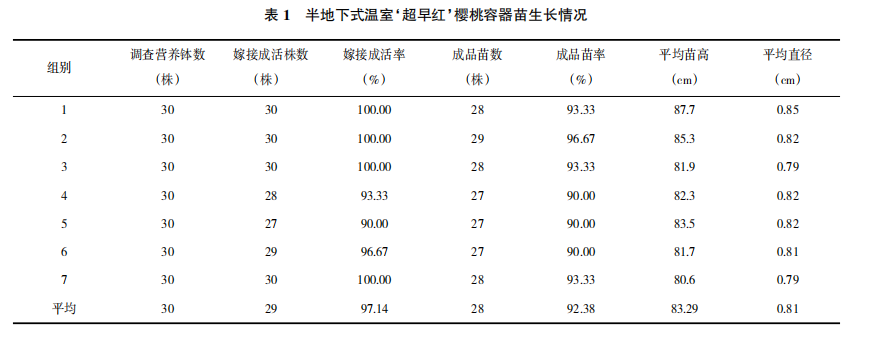 冬天樱桃萝卜种植技术_樱桃萝卜定植_萝卜冬种植樱桃技术天天浇水吗