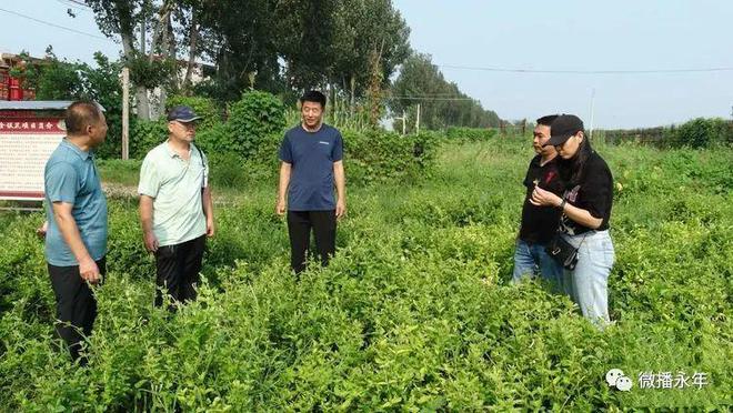 农村种植花卉_农村致富花种植_农村种花致富能人