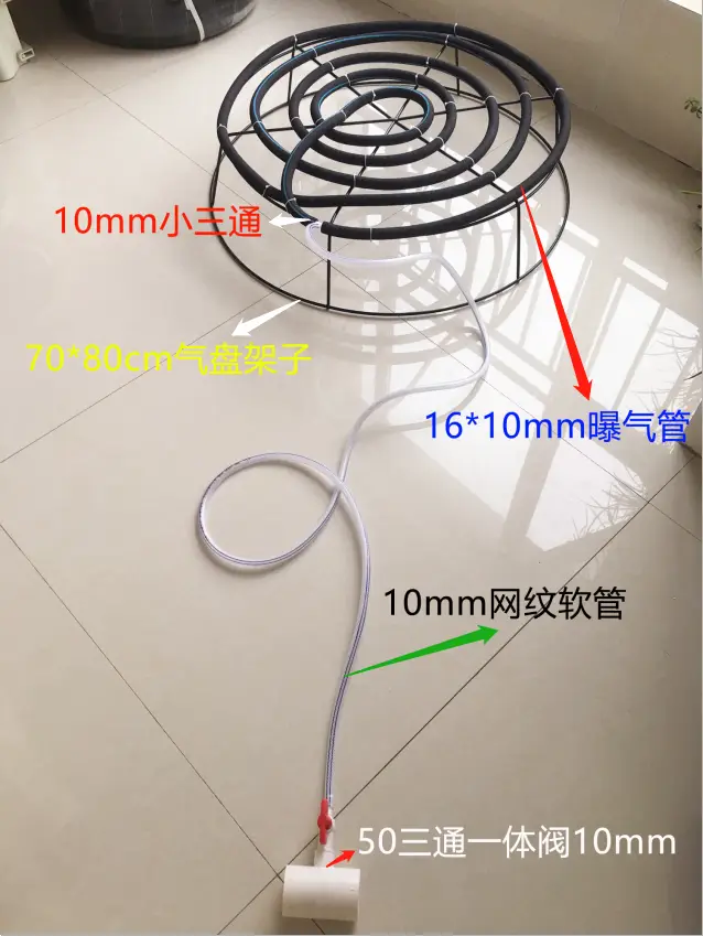 养虾水草种植技术_养虾水草_虾池水草怎么种植