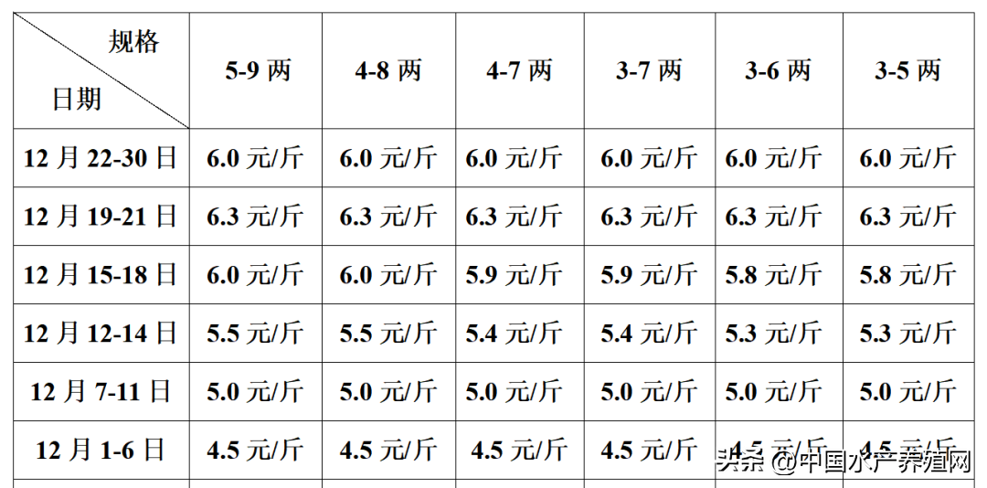 养殖鲈鱼技术书_水产养殖技术鱼鲈鱼_养殖水产鱼鲈鱼技术要点