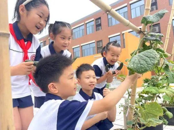 创建新优质学校经验介绍_优质校建设方案_提炼优质校项目建设经验