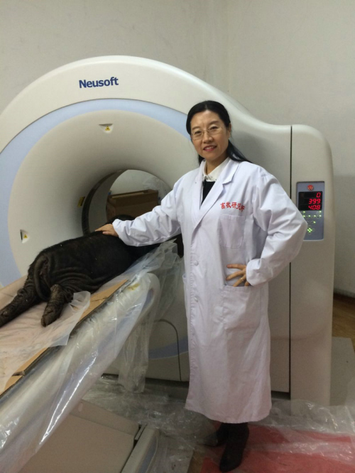 　　刘娣为东北“民猪”做PET-CT 。（黑龙江农科院提供）