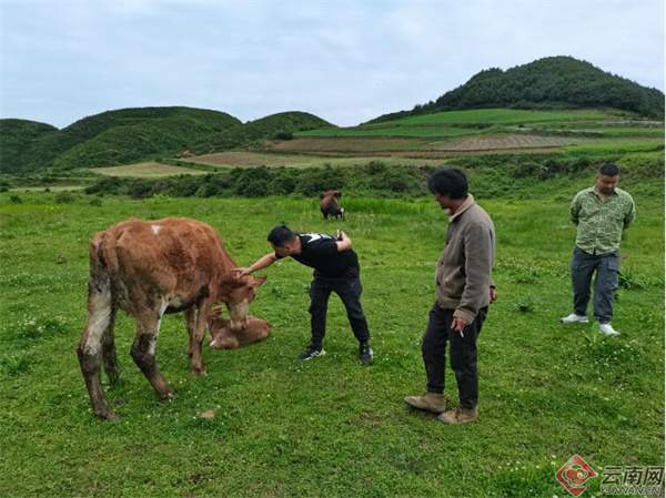 荒地搞养殖_荒地养殖致富_荒地养殖手续流程