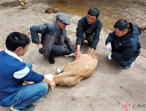 荒地养殖手续流程_荒地养殖致富_荒地搞养殖