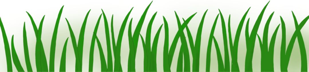 小庭院种植_庭院种植致富_庭院种植什么最赚钱