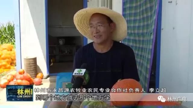 种植什么瓜赚钱_瓜类种植技术_瓜类种植致富