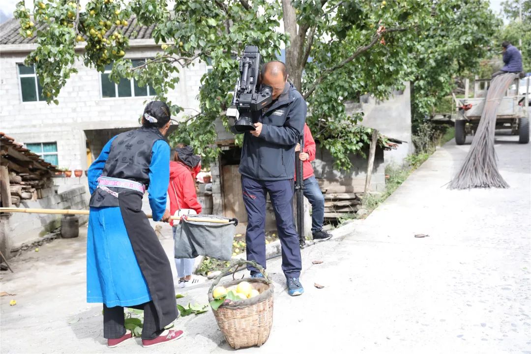 种植雪梨亩挣多少_致富种植雪梨图片_雪梨怎么种植致富