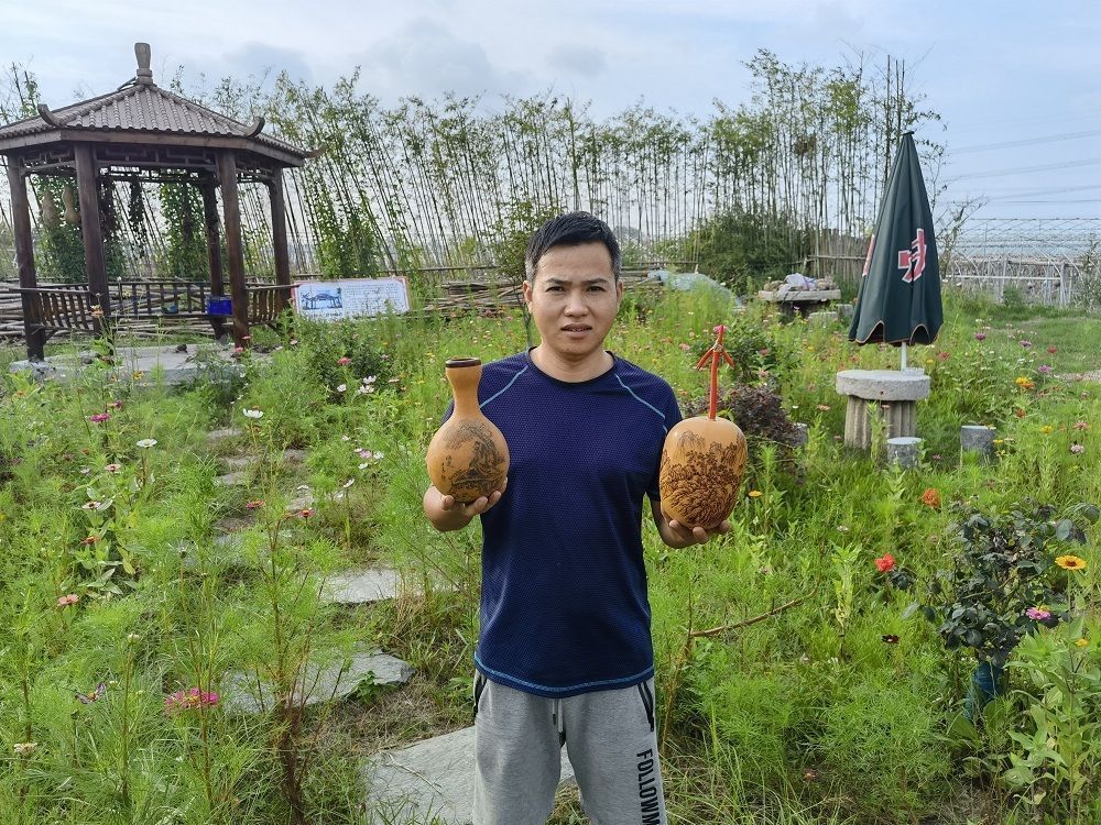 致富葫芦种植技术视频_葫芦种植致富吗_葫芦种植效益