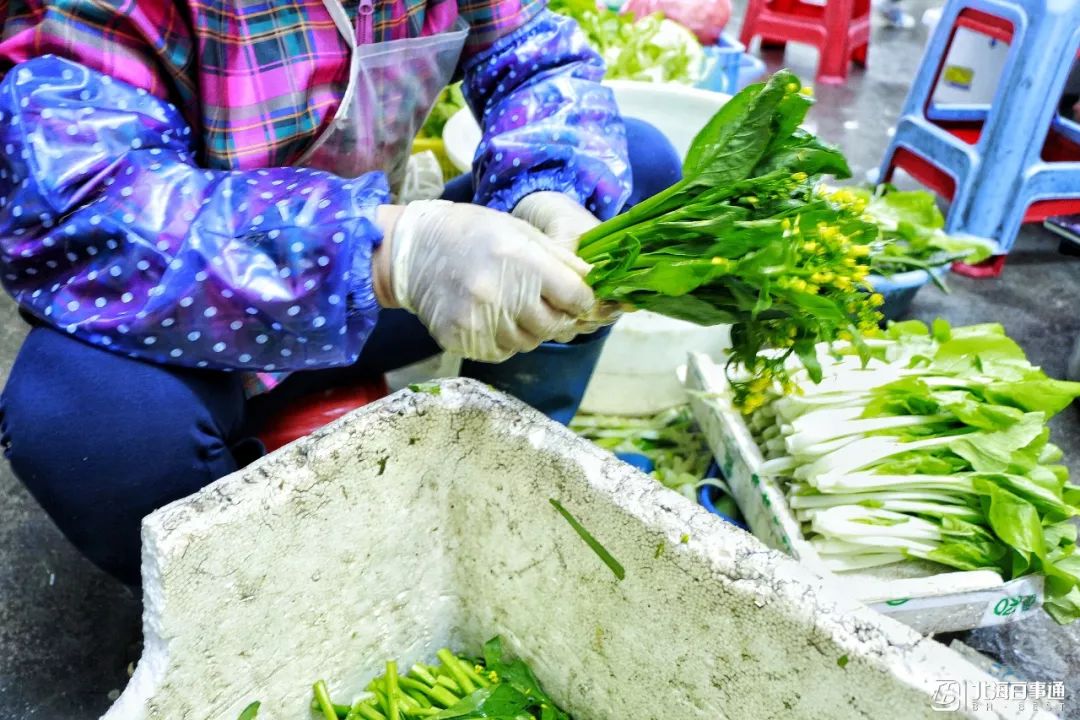 南瓜藤养殖_大棚南瓜藤种植技术_南瓜滕种植