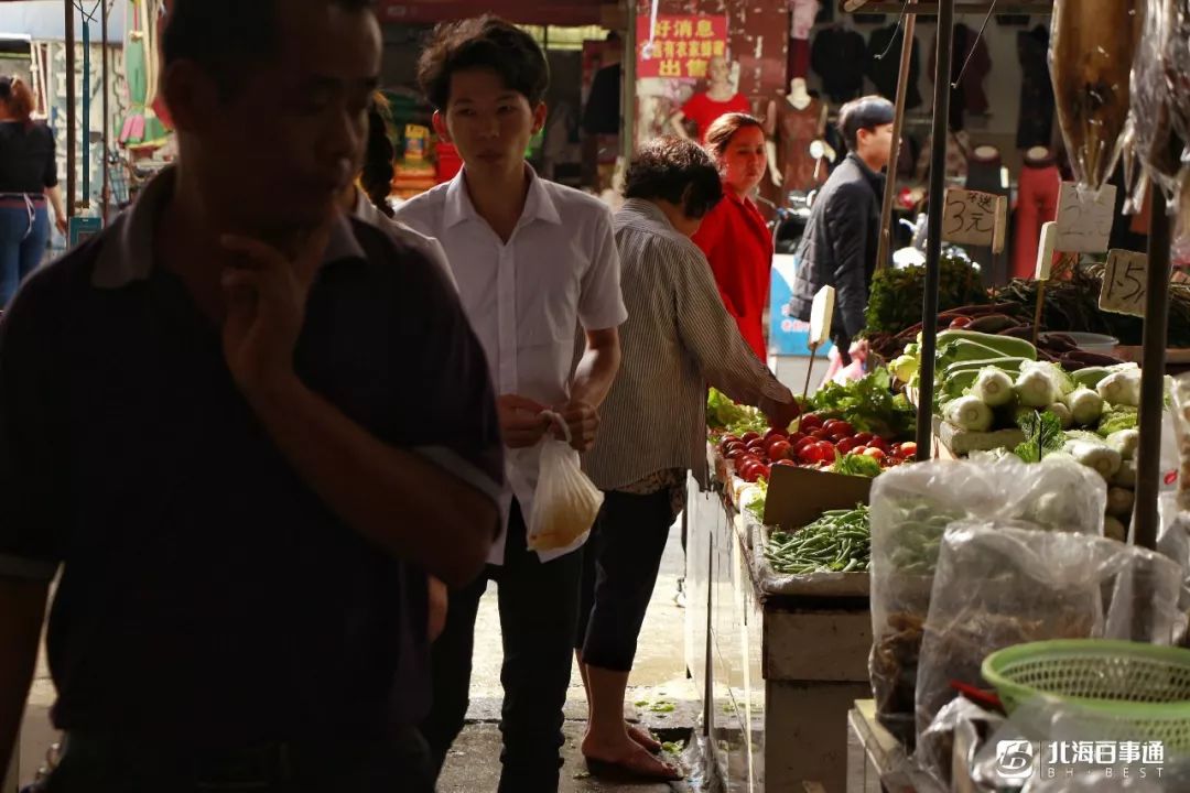 南瓜滕种植_南瓜藤养殖_大棚南瓜藤种植技术