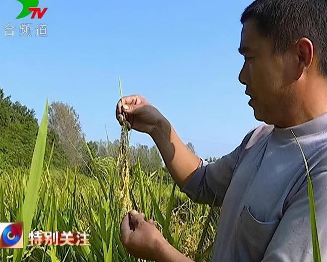 种养殖大户等致富能手_养殖致富能手事迹_种养致富项目