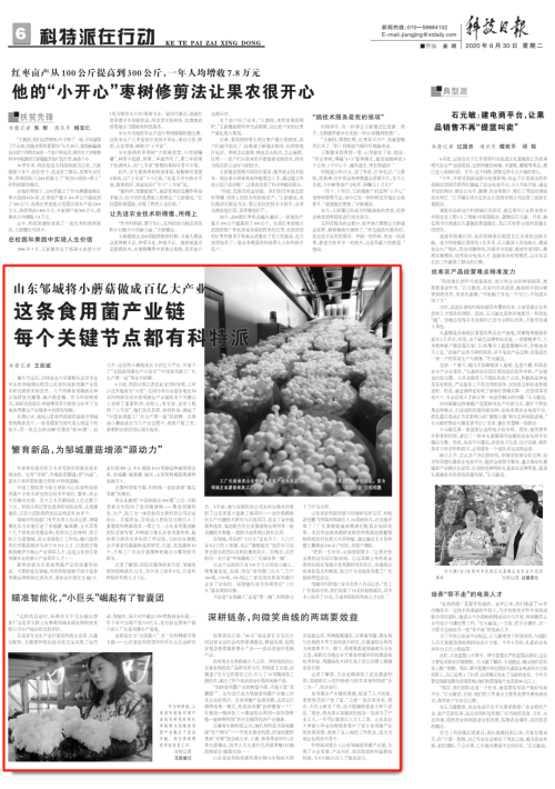 金针菇种植技术视频_针金菇种植视频_金针菇新技术种植