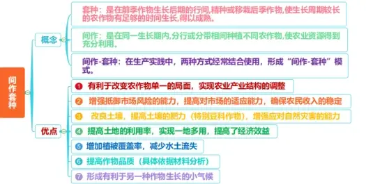 【农业地理】什么是间作＆垄作＆套种？高考地理重点思维导图农业合集，附解析