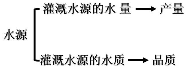 土豆种植覆膜技术视频_土豆种植覆膜技术要求_覆膜土豆种植技术