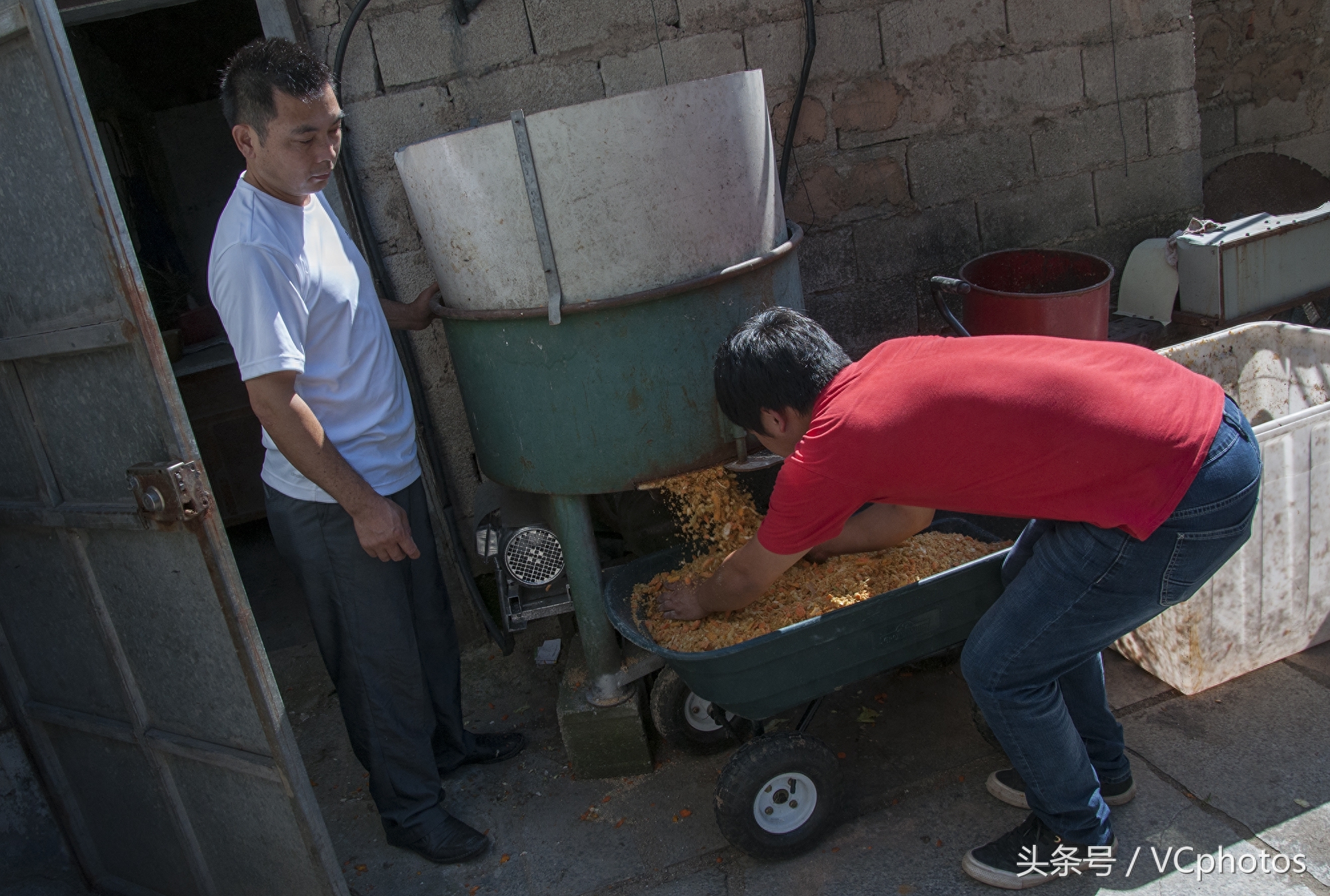 90后帅小伙养孔雀带领乡邻致富，年产值超千万元