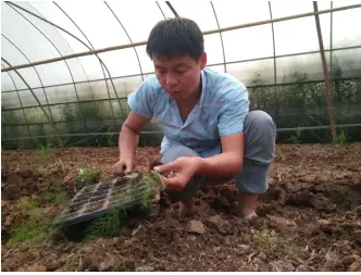 致富返乡种植项目申报书_返乡种植致富项目_回乡致富项目