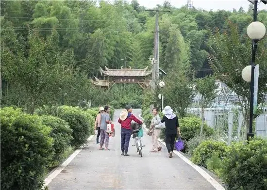 返乡种植致富项目_致富返乡种植项目申报书_回乡致富项目