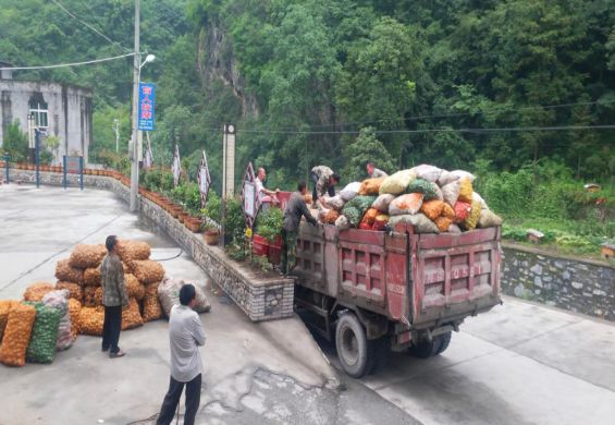 养蜂繁殖技巧_蛋群中蜂养法_蛋蛋蜂养殖技术