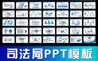 中国司法局纪检监察法律政府工作动态PPT