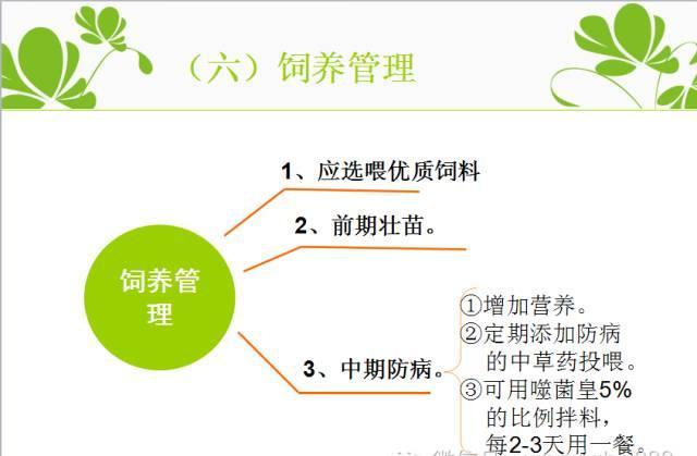 2015养虾致富经_致富经养河虾_致富经虾