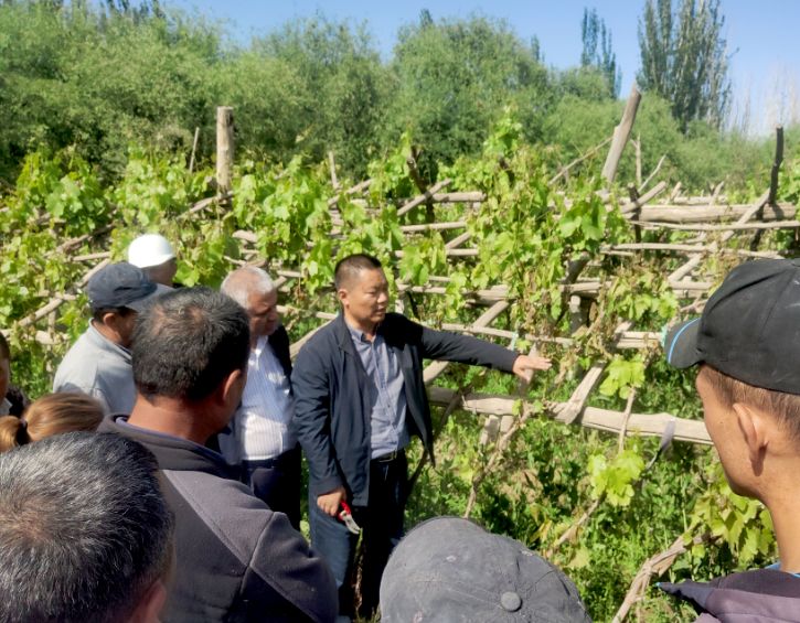 家庭致富种植门路_致富种植视频全集_致富经农村种植