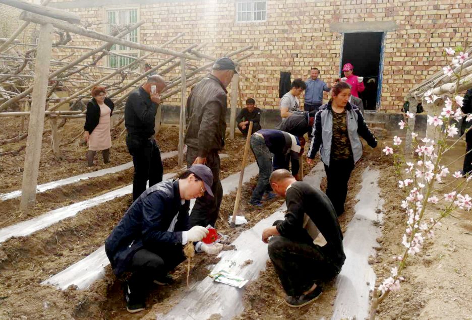 致富种植视频全集_致富经农村种植_家庭致富种植门路