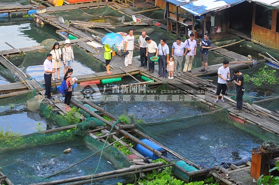 生态草鱼致富经_生态养殖草鱼成功案例_致富经天价草鱼的背后