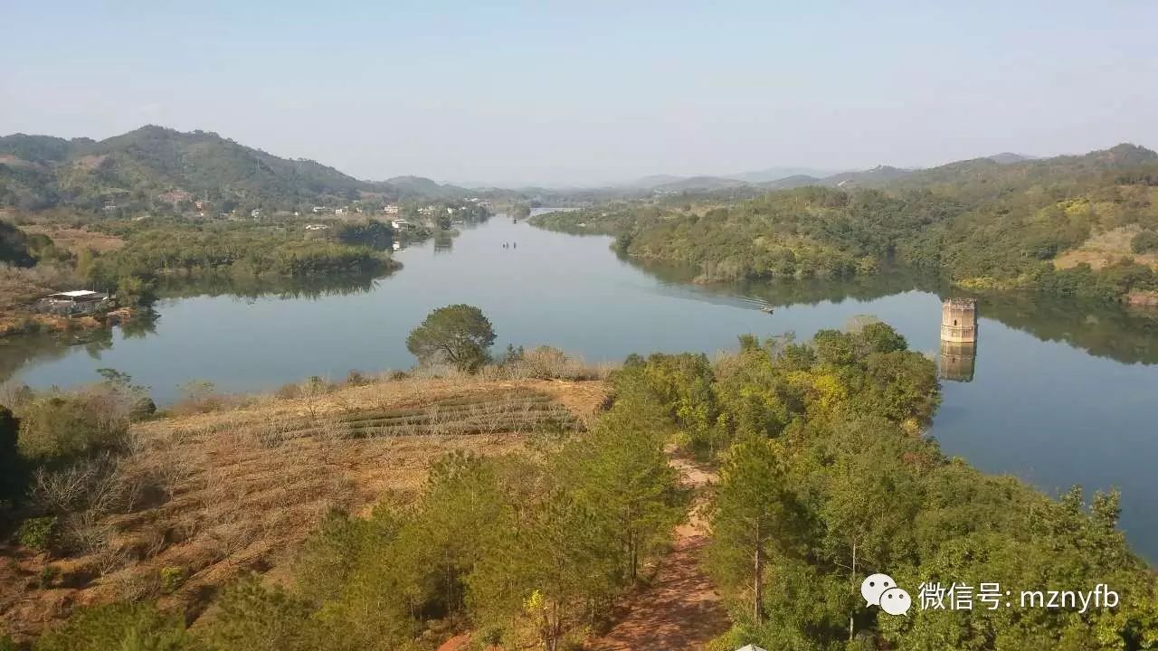 致富经草鱼苗养殖技术_生态草鱼致富经_致富经草鱼