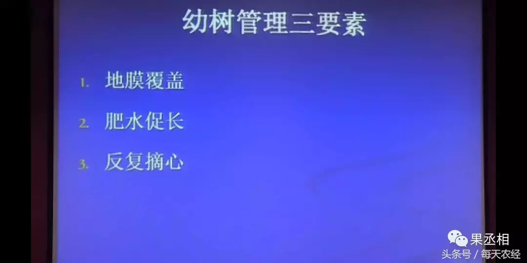 葡萄幼树管理之地膜覆盖