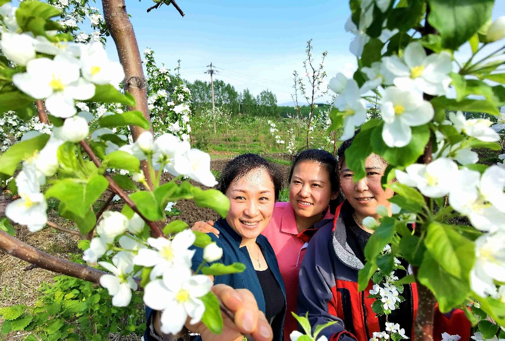 双鸭山市花_双鸭山种植致富花_双鸭山花卉基地