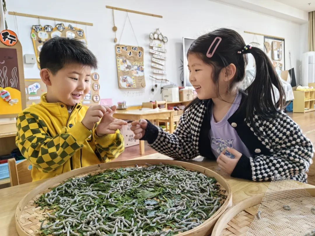 幼儿园优质办学经验_优质幼儿园的办园优势亮点_幼儿园办园经验分享