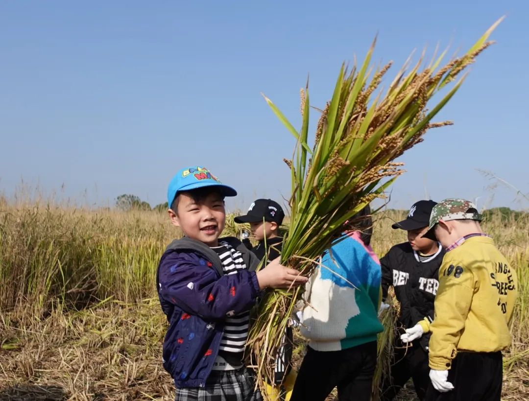 优质幼儿园的办园优势亮点_幼儿园办园经验分享_幼儿园优质办学经验