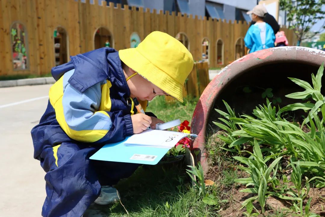 优质幼儿园的办园优势亮点_幼儿园优质办学经验_幼儿园办园经验分享