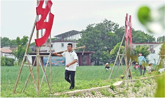 致富葱四季种植时间_四季葱种植致富经_四季葱种植视频