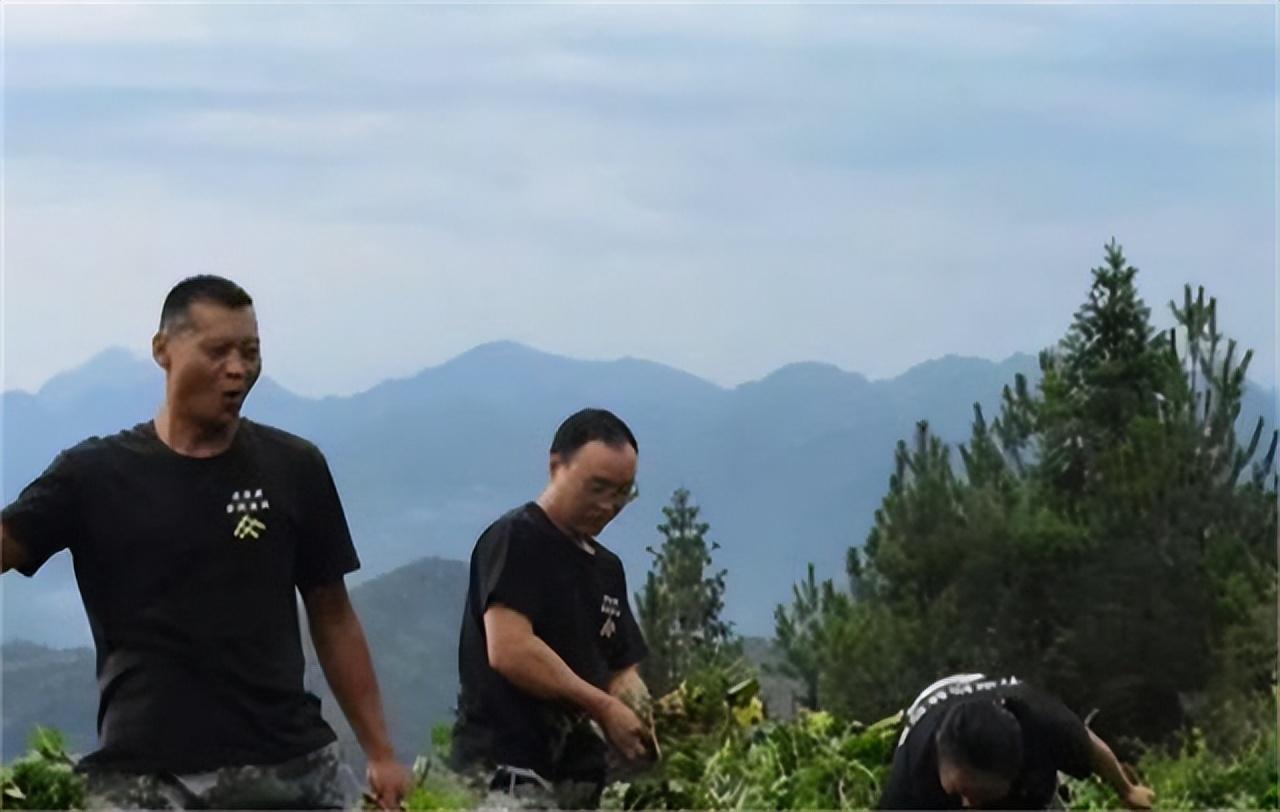 旧院黑鸡湖北销售中心_致富经旧院黑鸡_旧院黑鸡多少钱一斤