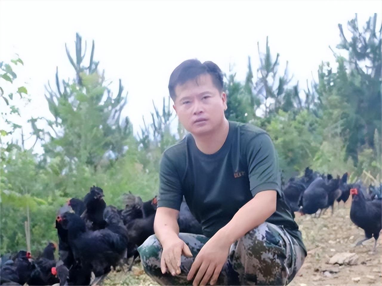 致富经旧院黑鸡_旧院黑鸡湖北销售中心_旧院黑鸡多少钱一斤