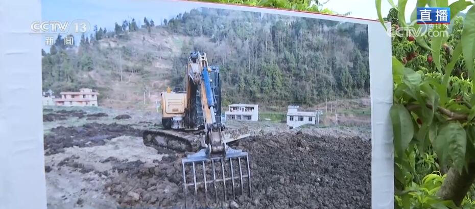 利用荒山致富视频_荒山种植致富视频_山地种植致富