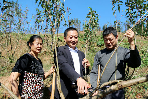 泸州纳溪 村支书带领群众致富奔康