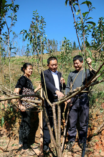 纳溪养殖致富_致富养殖好项目_致富养殖视频