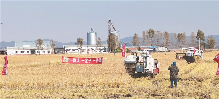 养殖业致富项目_养殖致富路有哪些项目_养殖产业增收致富路径