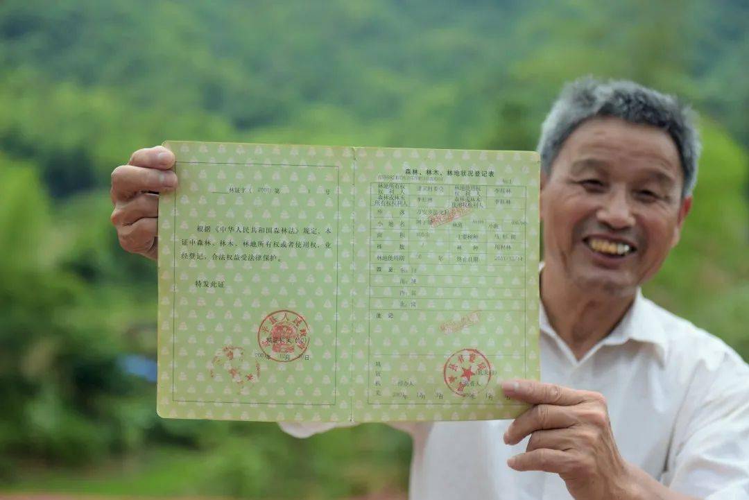 致富经红菇种植_红菇的人工种植_致富种植红菇视频