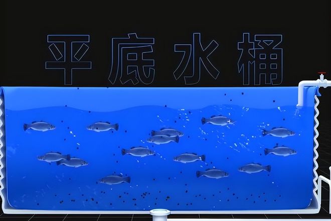 四川绵阳水蛭养殖致富案例_四川水蛭养殖基地_四川有养殖水蛭的吗