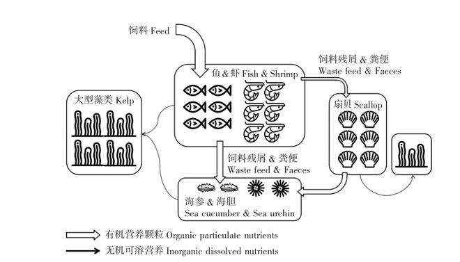 多营养层次生态养殖模式简析