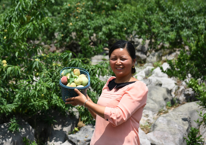 致富经农业种植_致富种植视频全集_农民致富种植网