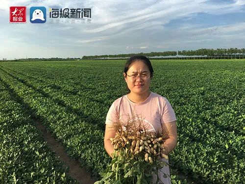 致富经农业种植_农场种植致富方法_致富农场种植方法图片