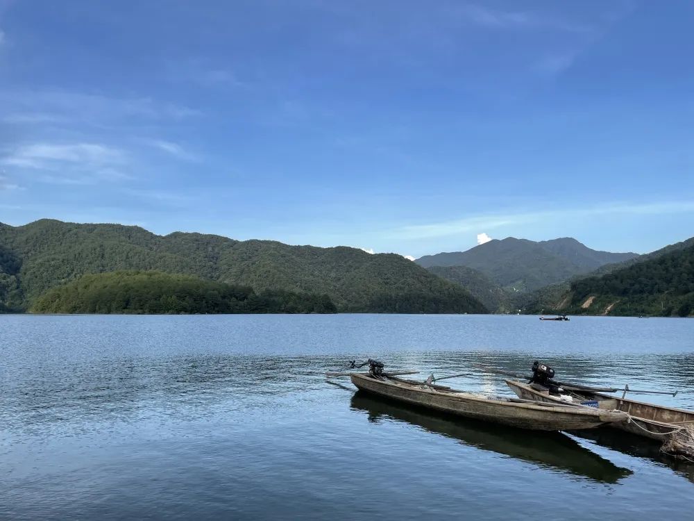 致富溪养殖鱼场在哪里_致富经水库养鱼_养殖溪鱼致富