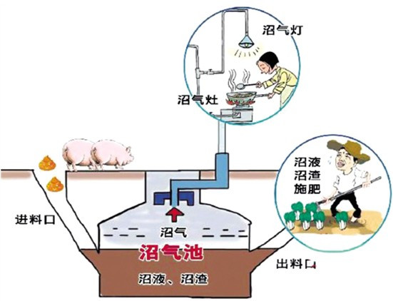 温室大棚养殖致富_温室养殖大棚造价_温室大棚养殖什么最赚钱