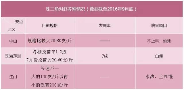 养殖白虾视频教程_白虾大虾养殖技术_白虾养殖大棚